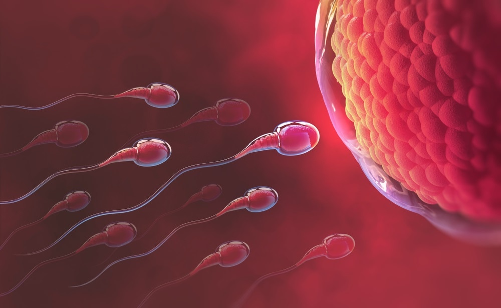 Male Infertility is Real. Schedule now with Southwest Fertility Center in Phoenix.
