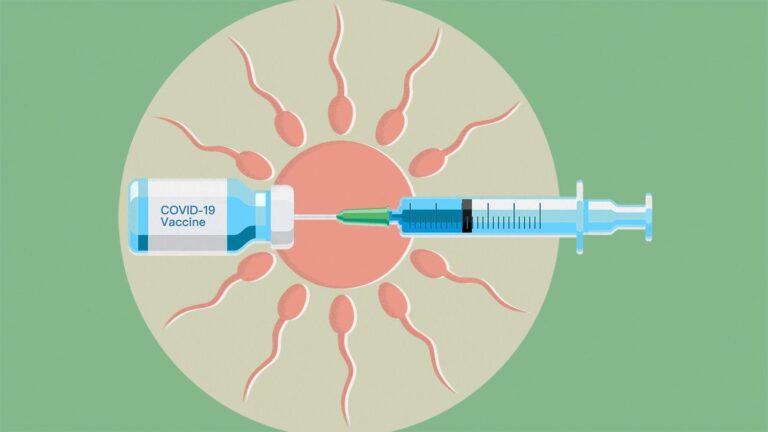 Can COVID Vaccines Affect Fertility Southwest Fertility Center   The Covid 19 Vaccine Will Not Affect Your Fertility 1440x810 1 768x432 