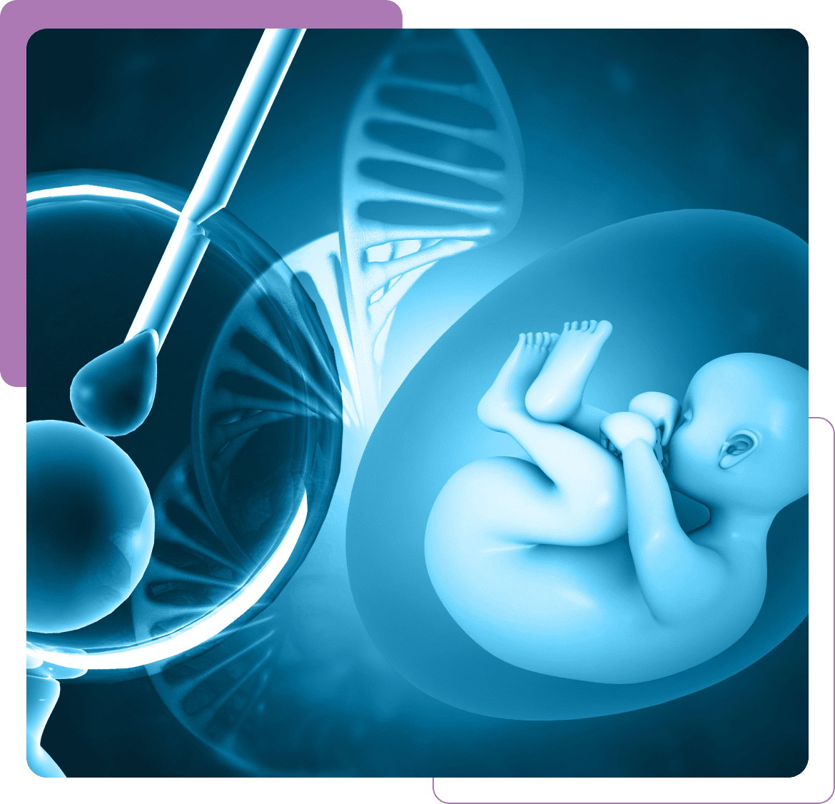 IVF embryo with DNA helix and pipette