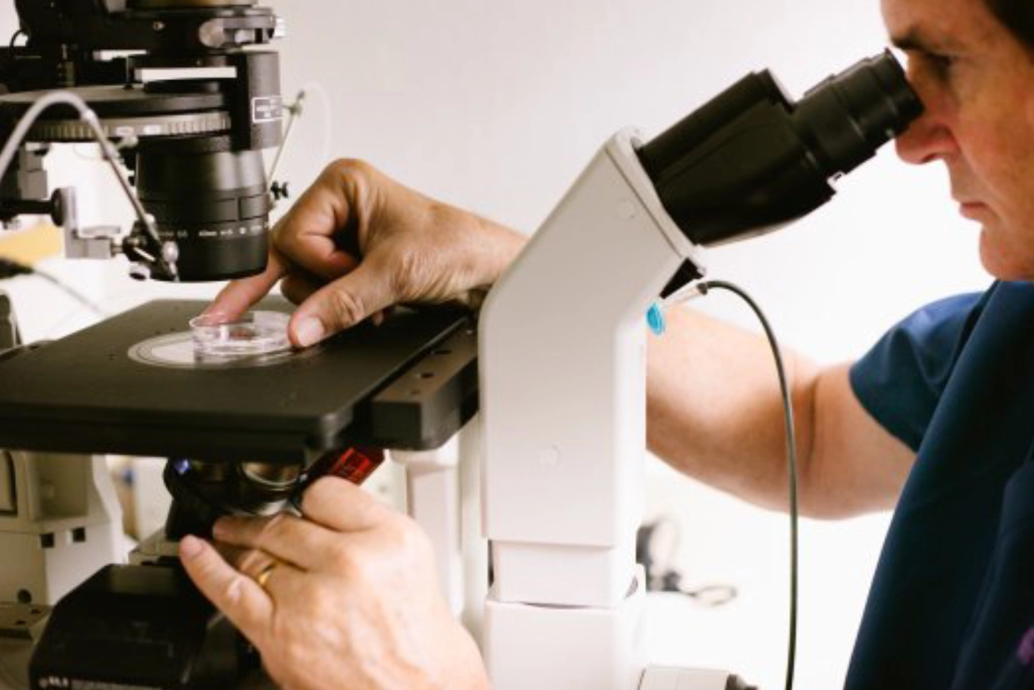 Technician adjusting microscope slide under eyepiece