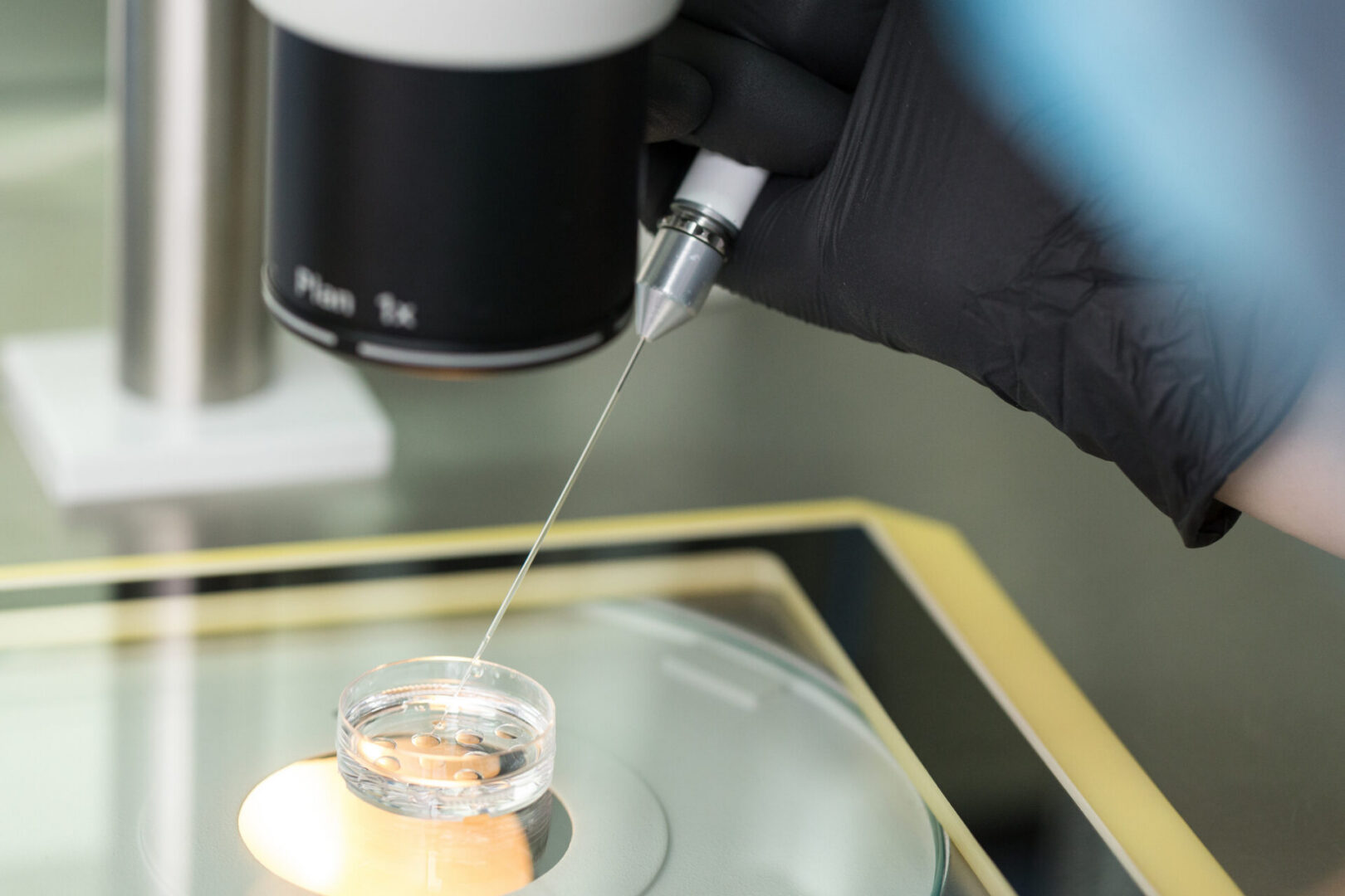 Scientist using equipment for research