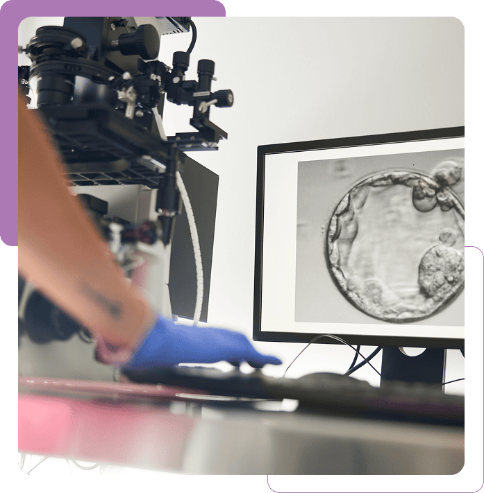 Embryo image on computer screen