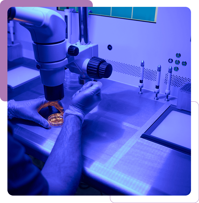 Laboratory technician examining petri dish