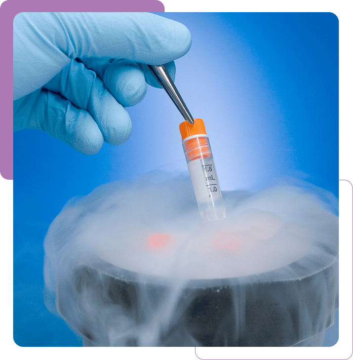 Scientific experiment with liquid nitrogen