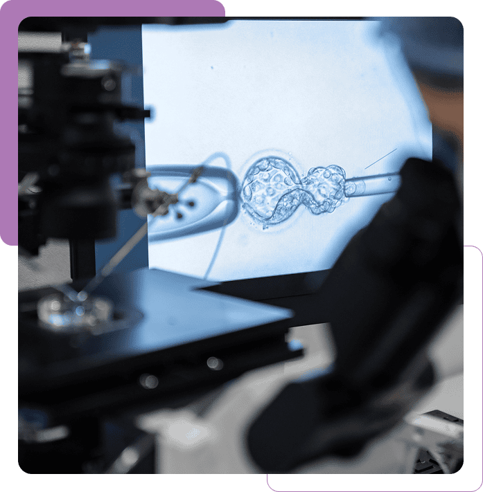 Scientific research equipment in use