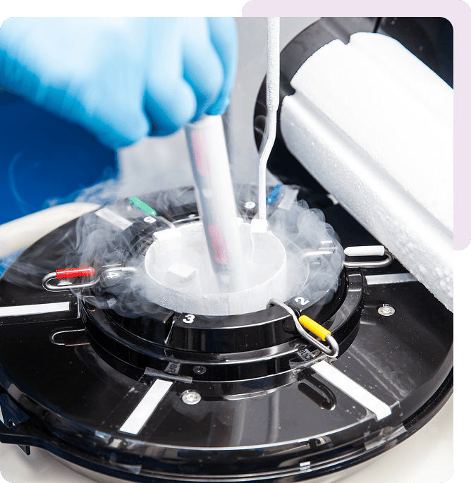 Laboratory equipment with protective gloves