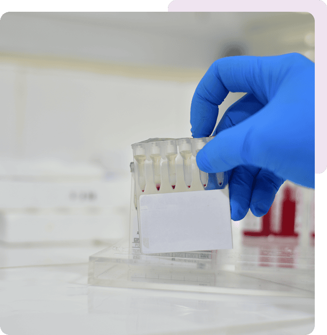 Gloved hand holding lab samples