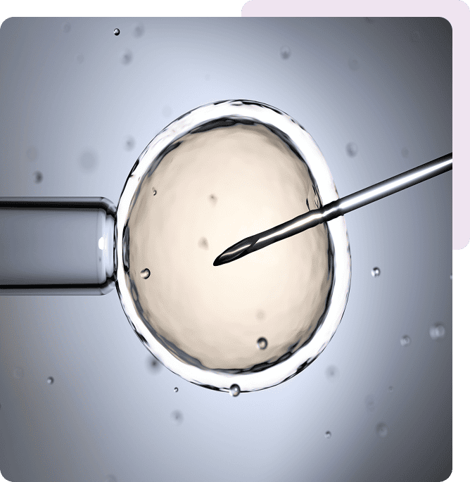 Needle injecting egg cell in lab