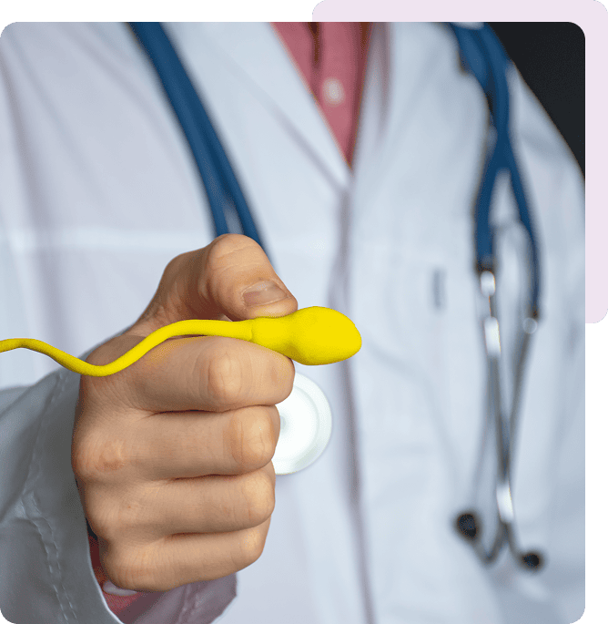 Medical professional with sperm replica