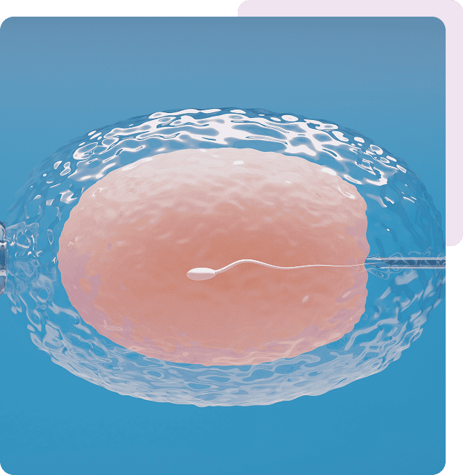 Ovum with needle for artificial insemination or in vitro fertilization. 3D Illustration Rendering.