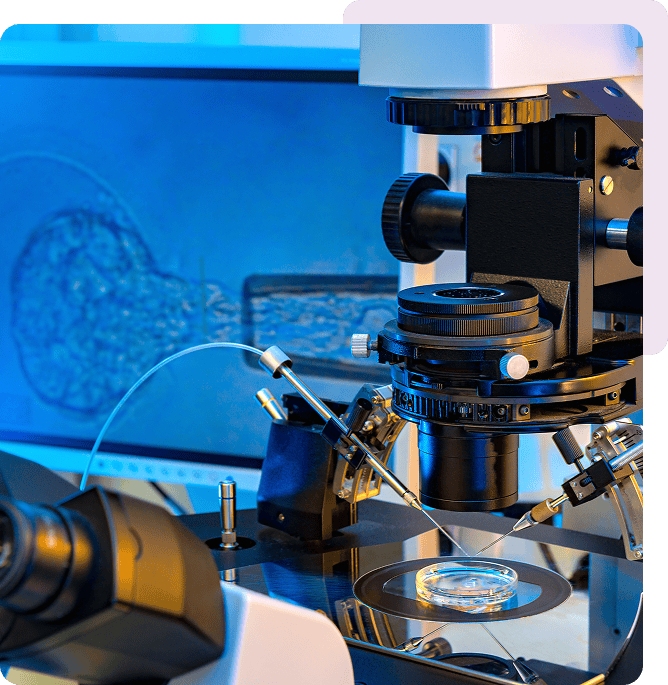 IVF Microscope